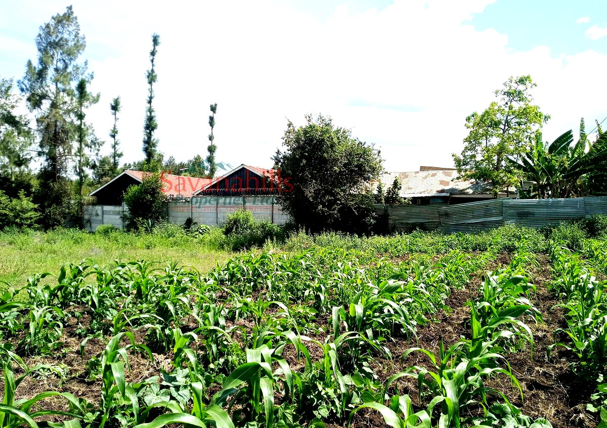 1/8 Acre Zambia Plot at KSh 4.5M