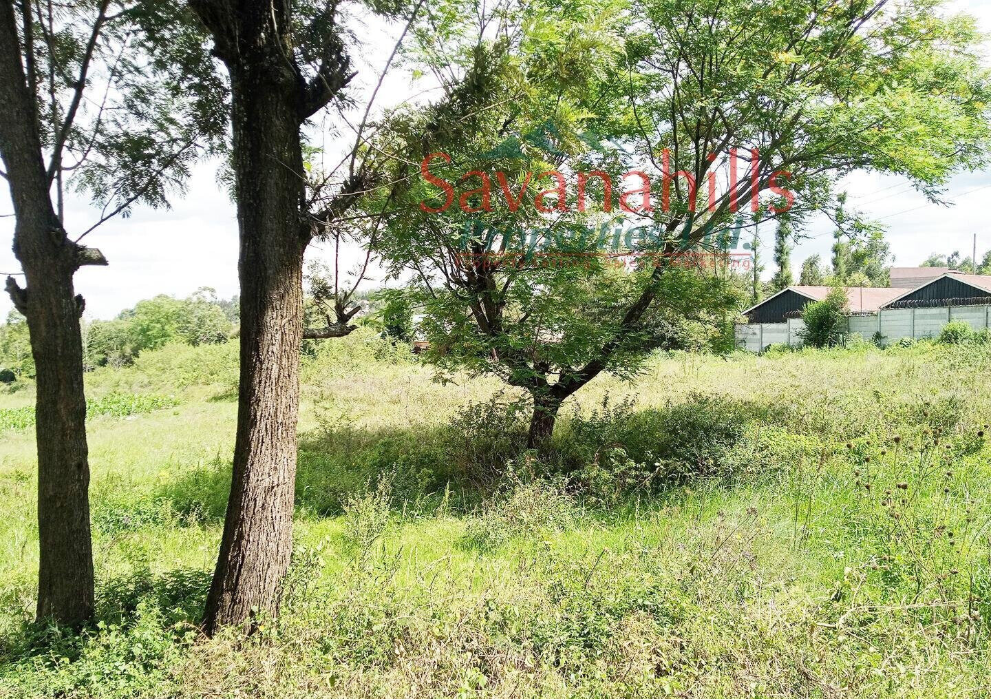 1/8 Acre Zambia Plot at KSh 4.5M