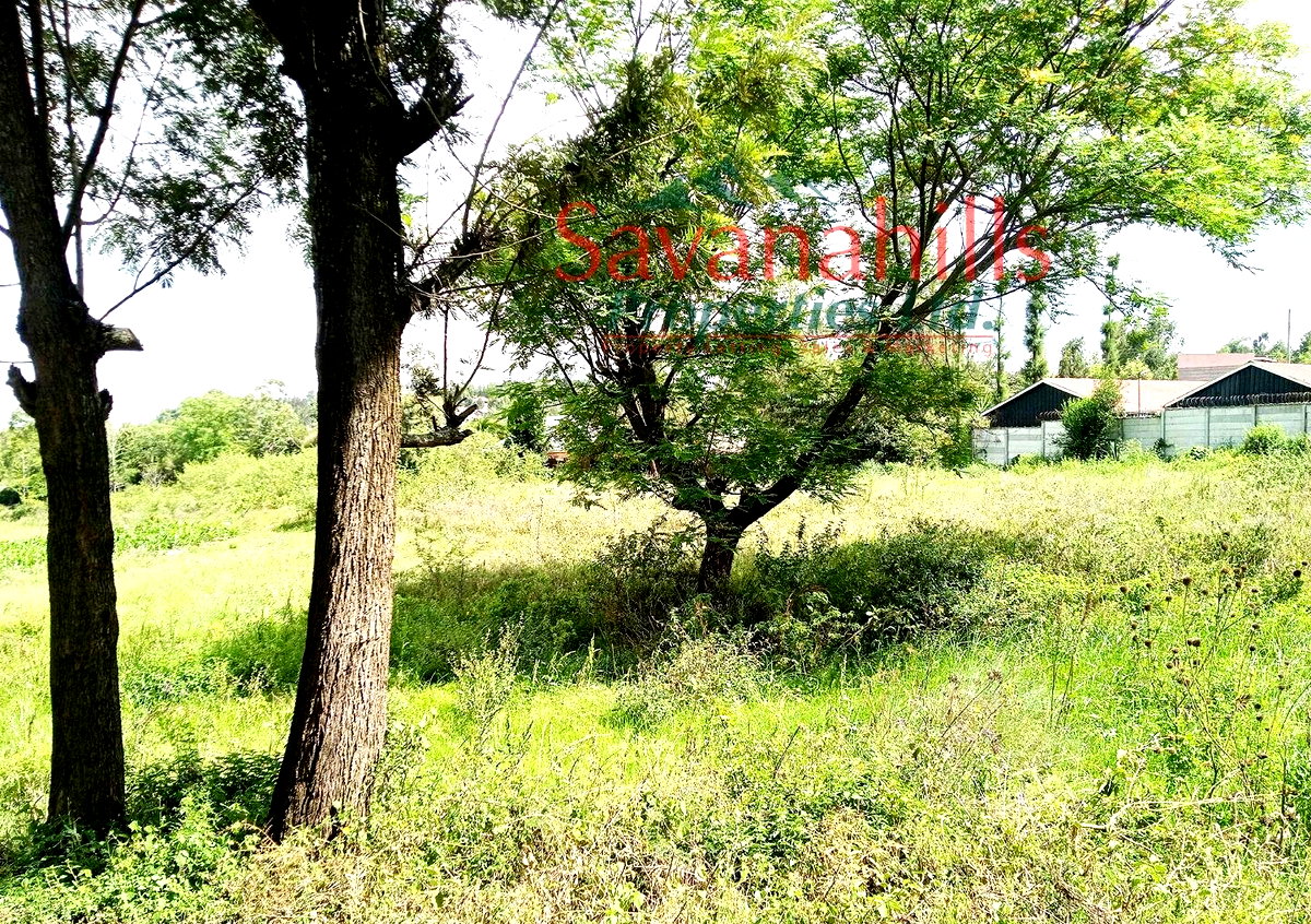 1/8 Acre Zambia Plot at KSh 4.5M