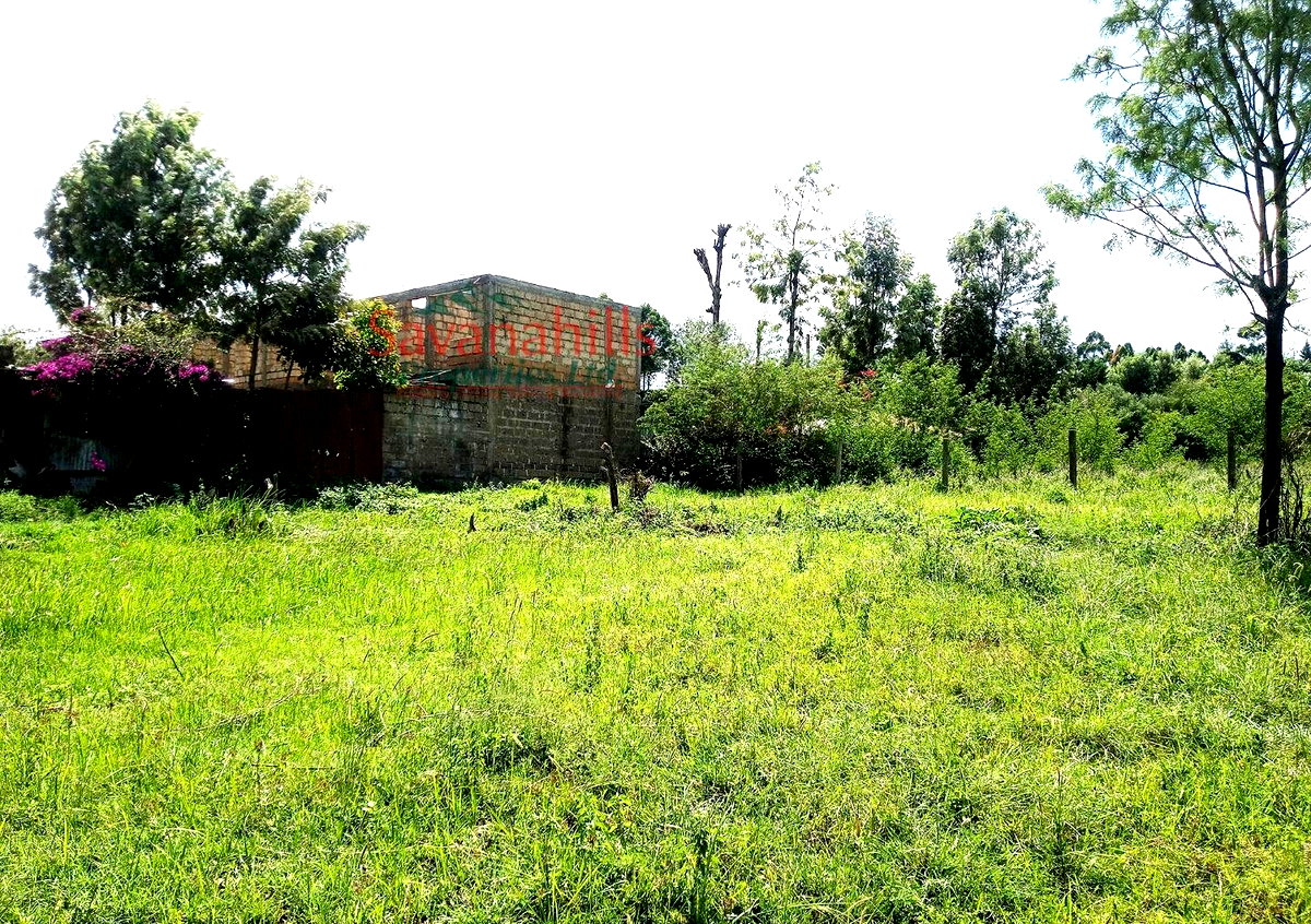 1/8 Acre Zambia Plot at KSh 4.5M