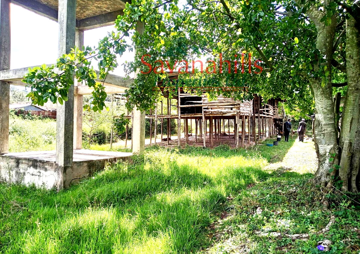 1/8 Acre Zambia Plot at KSh 4.5M