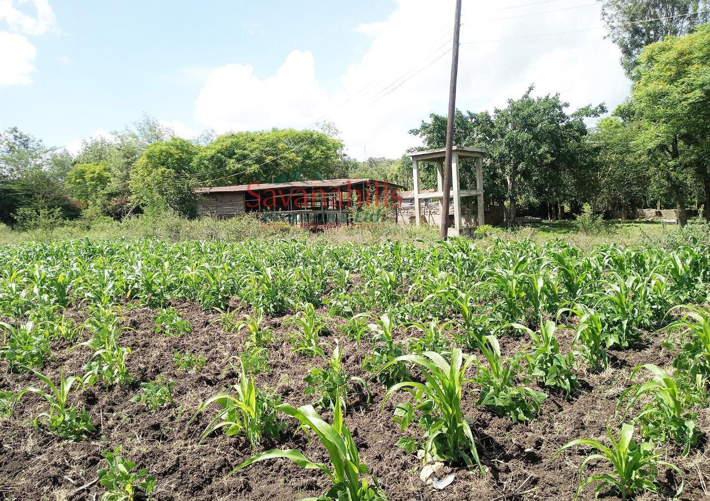 1/8 Acre Zambia Plot at KSh 4.5M