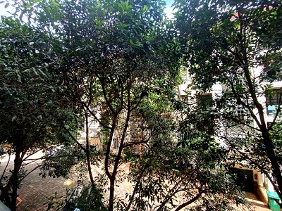 2bdrm Apartment in Jacaranda Apartments, Kahawa West for rent - Image 6