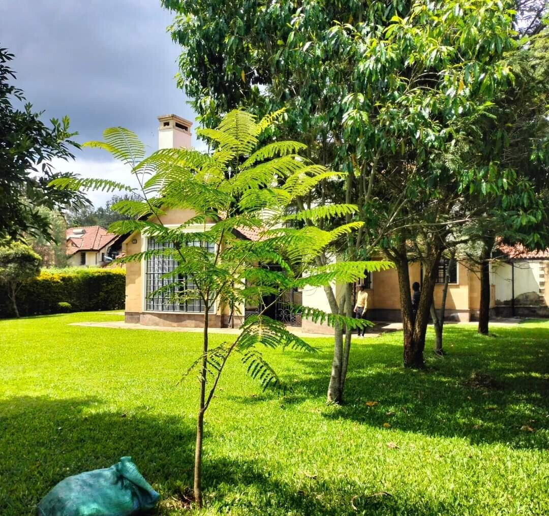Half-Acre Villa with Two Sitting Areas & DSQ – Karen Miotoni