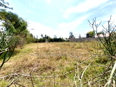 Ruai 1/4 Plot for Sale Ideal for Commercial and Residential - Image 2