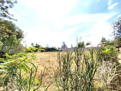 Ruai 1/4 Plot for Sale Ideal for Commercial and Residential - Image 3