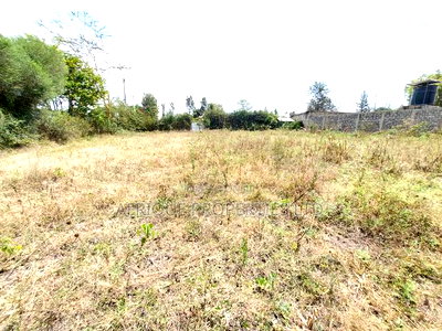Ruai 1/4 Plot for Sale Ideal for Commercial and Residential - Image 4