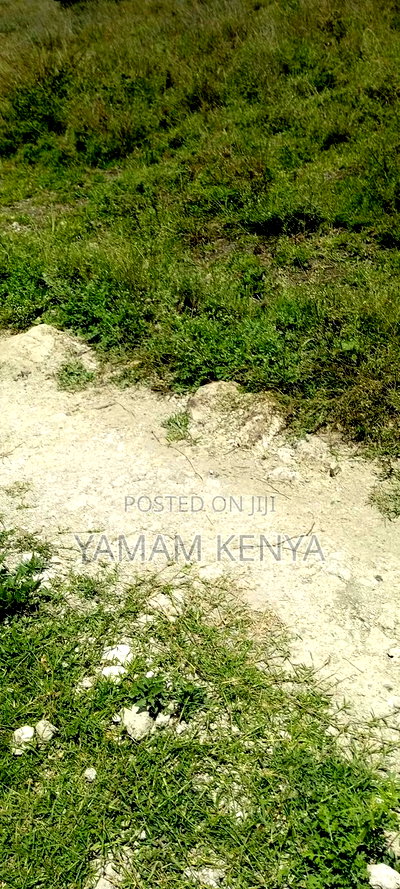 5 Acres Land for Sale Syokimau for Sale - Image 2
