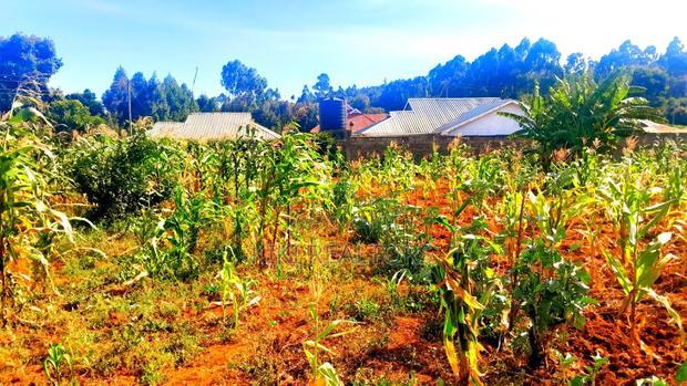 Kikuyu Kanduma an Acre for Sale