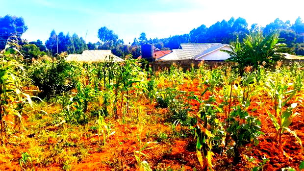 Kikuyu Kanduma an Acre for Sale