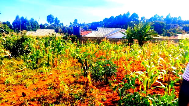 Kikuyu Kanduma an Acre for Sale