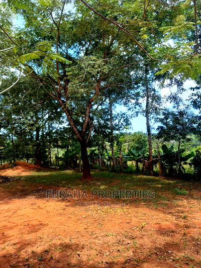 For Sale 11 Acres Agricultural Land Ramisi - Image 2
