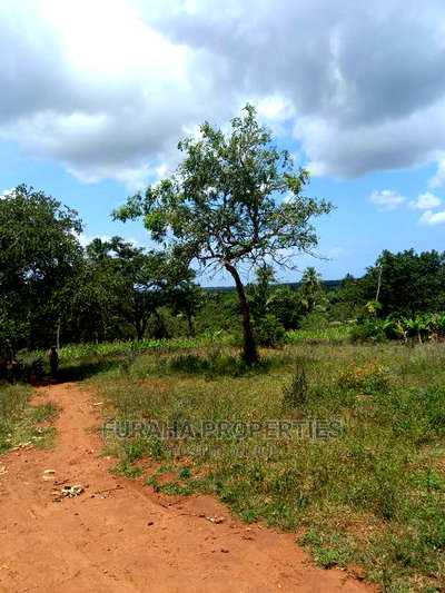For Sale 11 Acres Agricultural Land Ramisi - Image 6