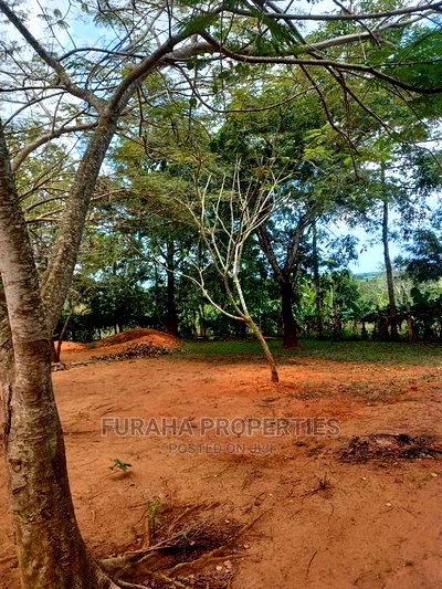 For Sale 11 Acres Agricultural Land Ramisi - Image 7