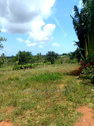 For Sale 11 Acres Agricultural Land Ramisi - Image 9
