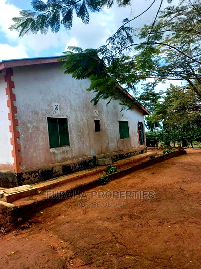 For Sale 11 Acres Agricultural Land Ramisi - Image 5