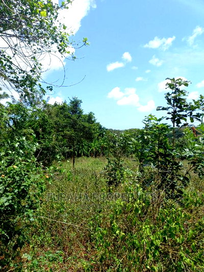 For Sale 11 Acres Agricultural Land Ramisi - Image 1