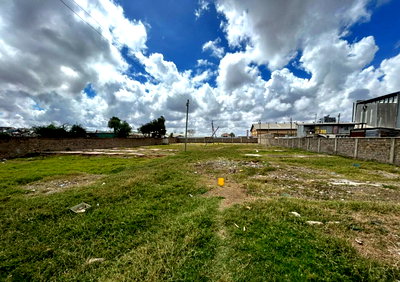 1 Acre Commercial Plot with Garden