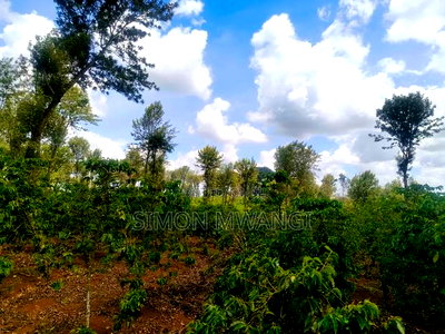302 Acres Coffee Farm on Sale at Kiambu County Ruiru - Image 5
