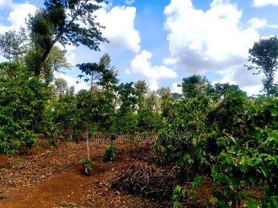 302 Acres Coffee Farm on Sale at Kiambu County Ruiru - Image 2