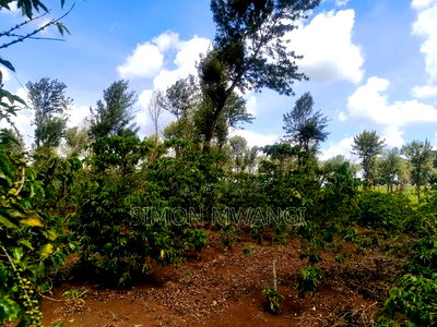 302 Acres Coffee Farm on Sale at Kiambu County Ruiru - Image 7