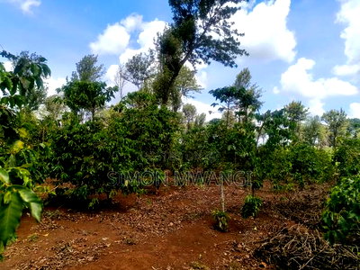 302 Acres Coffee Farm on Sale at Kiambu County Ruiru - Image 4