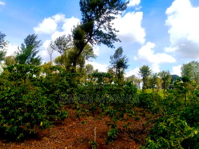 302 Acres Coffee Farm on Sale at Kiambu County Ruiru - Image 6