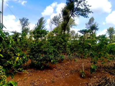 302 Acres Coffee Farm on Sale at Kiambu County Ruiru - Image 3