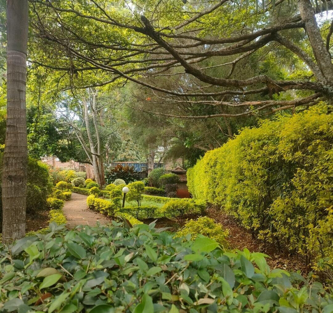 Garden Home for KSh 140K