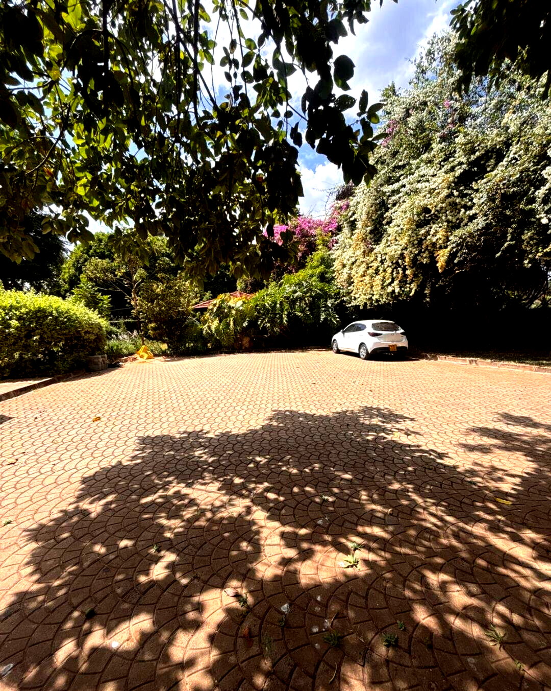 Half Acre 5BR Home with Garden