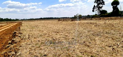 Several Gated Community Plots for Sale in Illula Eldoret - Image 4