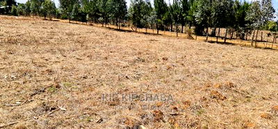 Several Gated Community Plots for Sale in Illula Eldoret - Image 2