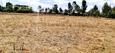 Several Gated Community Plots for Sale in Illula Eldoret - Image 3