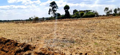 Several Gated Community Plots for Sale in Illula Eldoret - Image 6