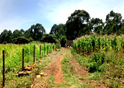 Garden Plot for KSh 3M