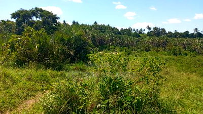 Ukunda Prime 145 Acres Agricultural Land - Image 3