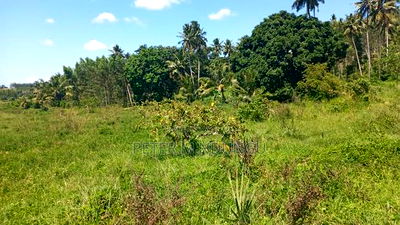 Ukunda Prime 145 Acres Agricultural Land - Image 2