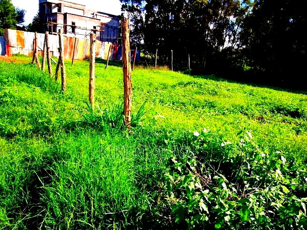 Affordable and Prime Plots at Kikuyu Kamangu