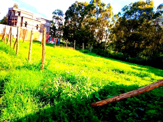 Affordable and Prime Plots at Kikuyu Kamangu