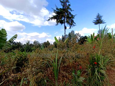 1/2 Acre Plot for Sale in Ghorofani, Kasarani - Image 13