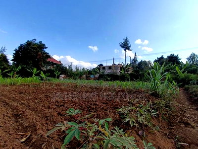 1/2 Acre Plot for Sale in Ghorofani, Kasarani - Image 4