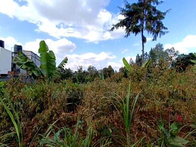 1/2 Acre Plot for Sale in Ghorofani, Kasarani - Image 14