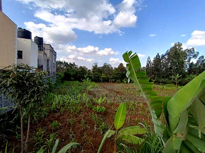 1/2 Acre Plot for Sale in Ghorofani, Kasarani - Image 9