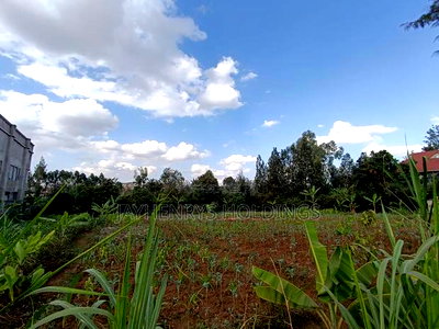 1/2 Acre Plot for Sale in Ghorofani, Kasarani - Image 12