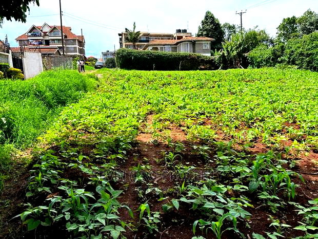 Prime Commercial Plot in Kikuyu Town.