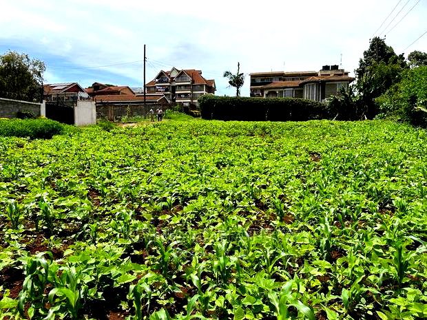 Prime Commercial Plot in Kikuyu Town.