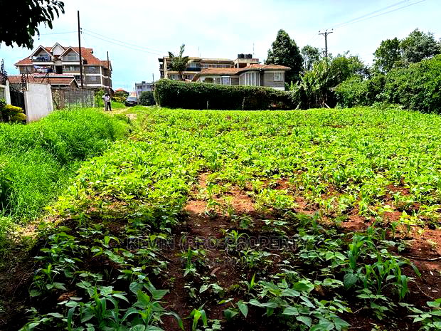 Prime Commercial Plot in Kikuyu Town.
