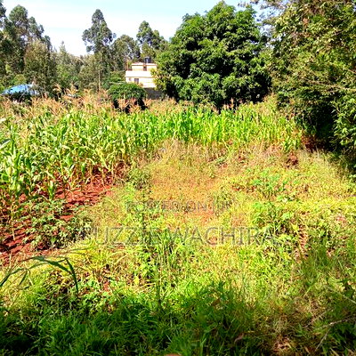 40*80ft Plots at Kenol Town in Muranga County - Image 1