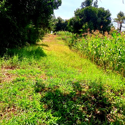 40*80ft Plots at Kenol Town in Muranga County - Image 4