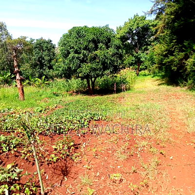 40*80ft Plots at Kenol Town in Muranga County - Image 2